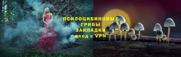 меф Новодвинск