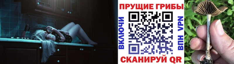 Галлюциногенные грибы Psilocybine cubensis  цена   Зея 