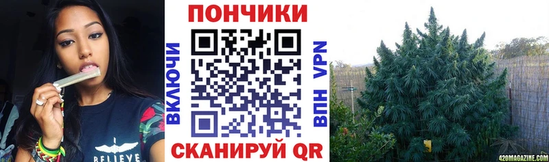 магазин продажи наркотиков Зея Бошки марихуана план